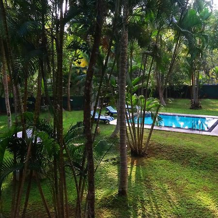 Chandra Villa Ayurveda Resort เบนโตตา ภายนอก รูปภาพ